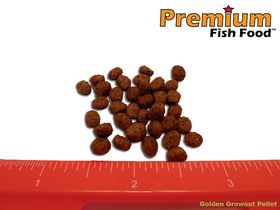 Golden Growout - GMO FREE Fish Food 10 lbs