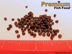 Tilapia Intermediate Pellet 10 lbs